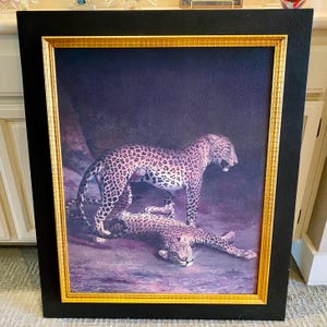 Two Leopards Playing Jacques-Laurent Agasse Acrylic on Canvas Reproduction Painting 24”x30”