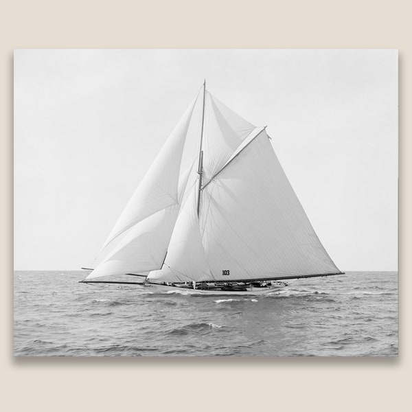 Sailing Yacht Harpoon, August 1892. Restored vintage photo. Museum Quality Giclee Print. Black and White Sailboat print