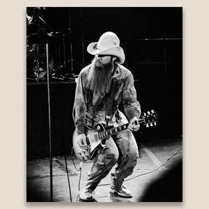 zz top fancy dress