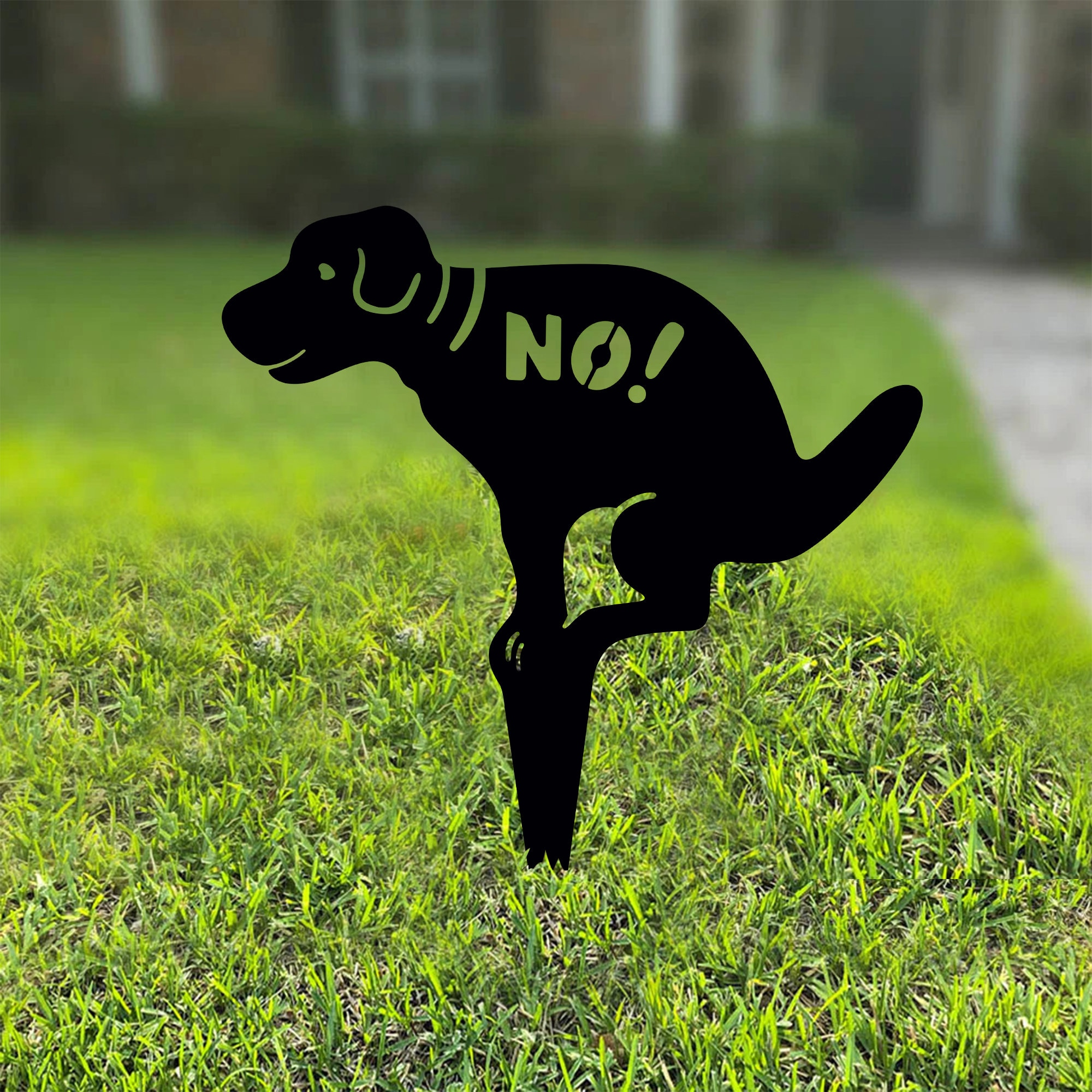 How To Keep Neighbors Dog From Pooping In Yard