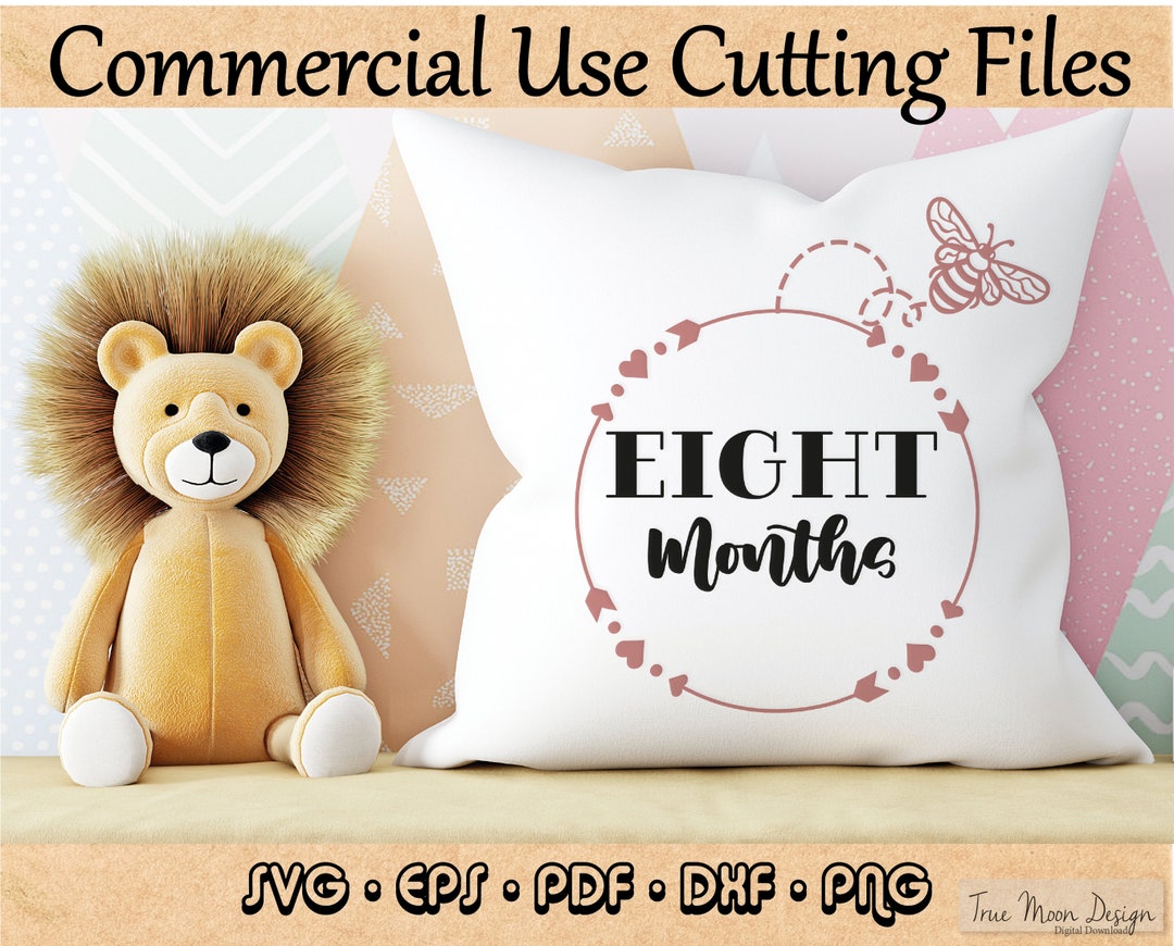 Monthly Milestone Svg Bundle Cricut Cut Files Baby Svg - Etsy