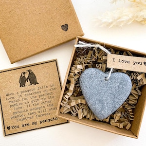 Unique gift for him boyfriend husband Penguin pebble One year dating gift for her girlfriend Future wife engagement present Penguin rock