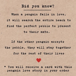 Penguin pebble romantic 1 year anniversary gift for boyfriend First wedding anniversary Gift for him 4 years Cotton anniversary gift for him image 2