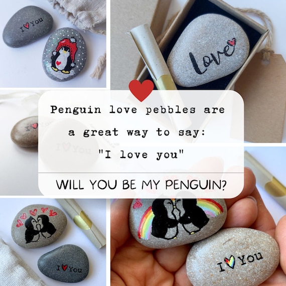 Personalized Penguin Pebble Romantic Boyfriend Birthday Gift for