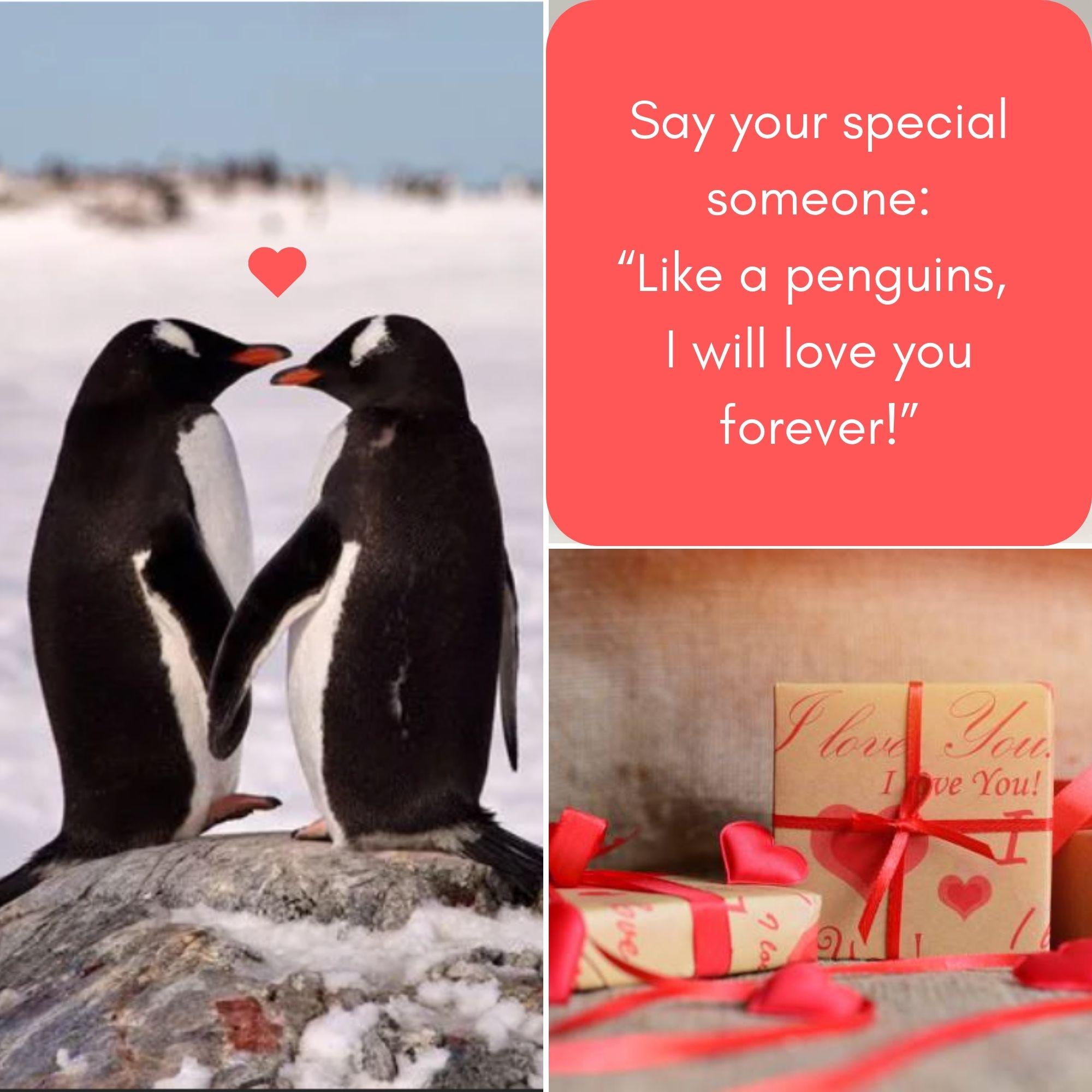 Alternative Proposal Will You Marry Me, Engagement Gifts for Couple ...