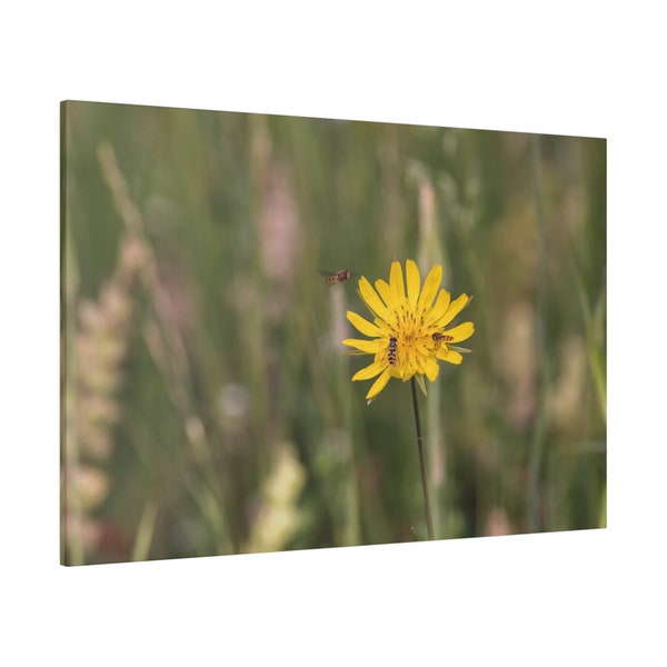 Canvas picture nature with flowers for office and home. Mural as a gift. Nature photography, a work of art for the living room