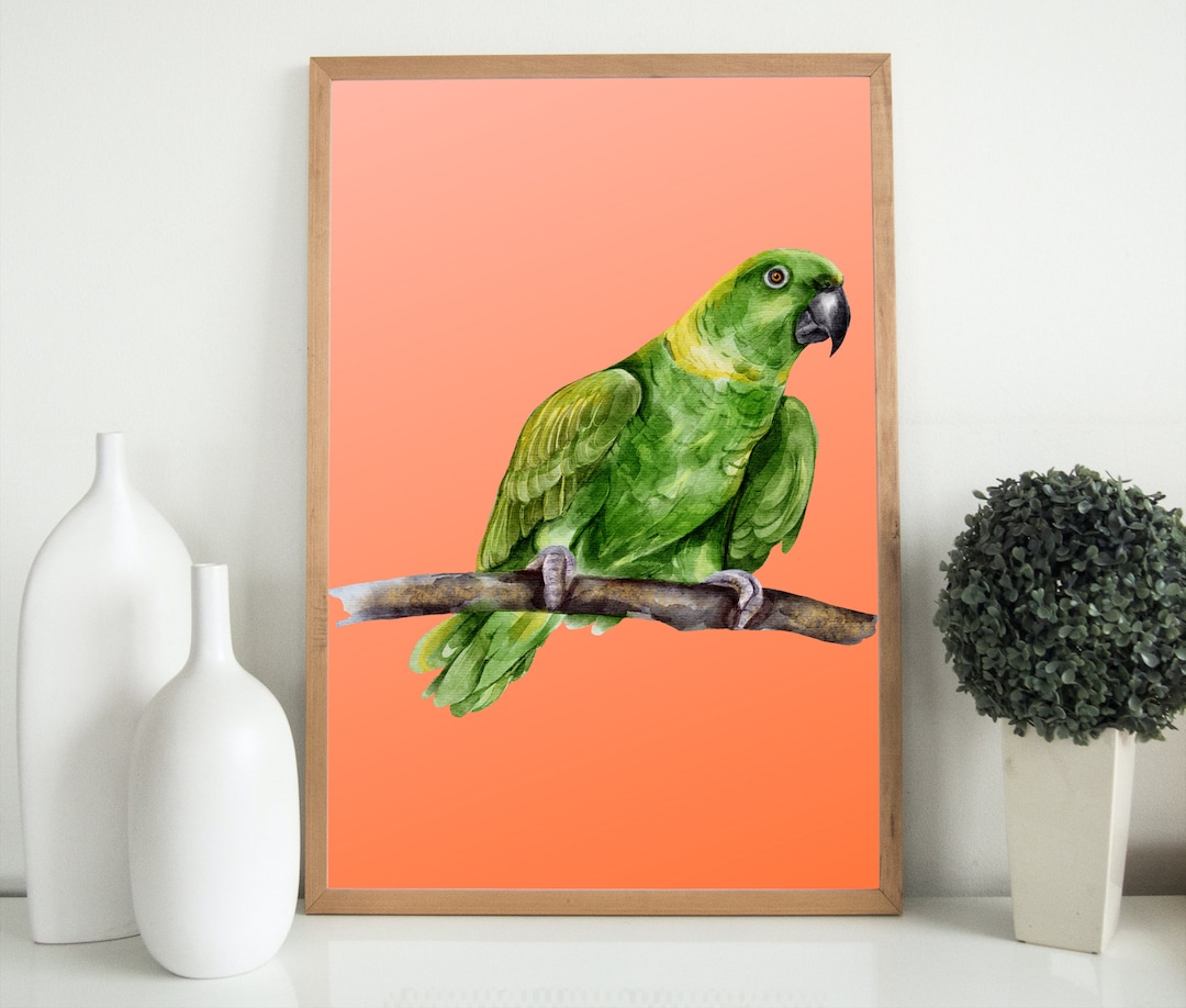 Printable Watercolor of Parrot / Wall Art Etsy