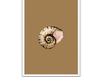 Printable watercolor of seashell / minimalist wall art