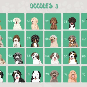 May include: A chart of 24 different doodle dog breeds, each with a unique color pattern and expression. The chart is labeled "Oggoles 3" at the top and numbered from 49 to 72.