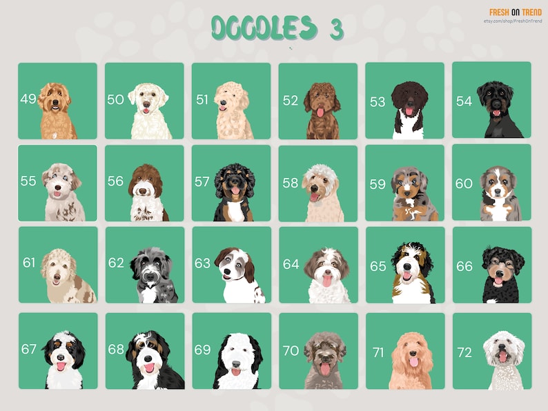 May include: A chart of 24 different doodle dog breeds, each with a unique color pattern and expression. The chart is labeled "Oggoles 3" at the top and numbered from 49 to 72.