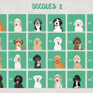 May include: A chart of 48 different doodle style illustrations of dogs. Each dog is in a square with a number from 25 to 48. The dogs are all different breeds and colors. The chart is on a green background.