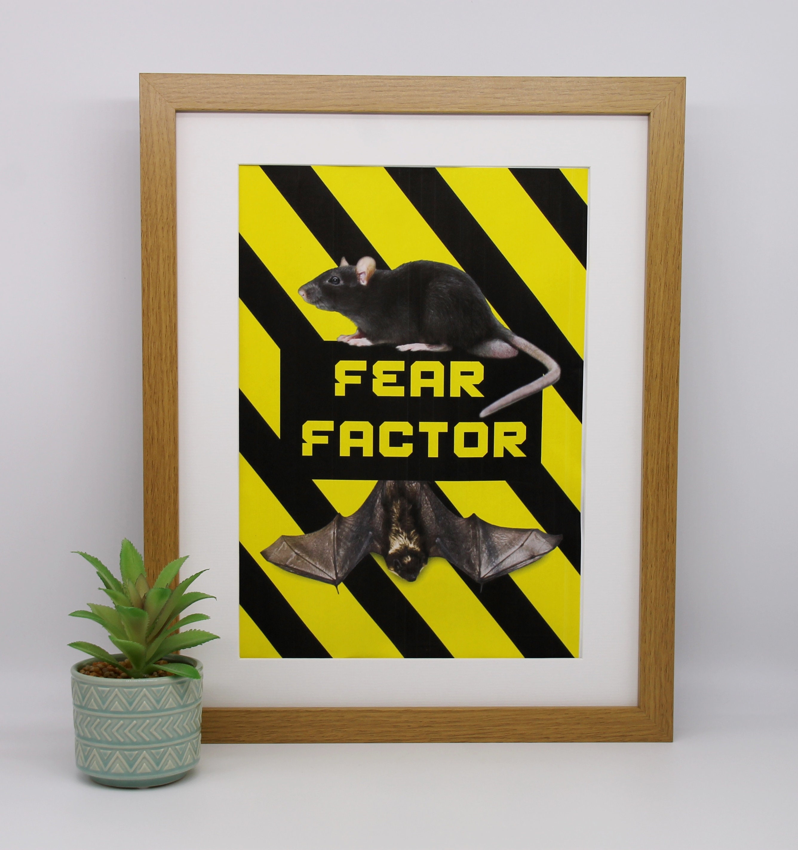 Fear Factor Invitations