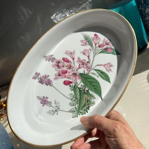 Spode Stafford Flowers - Etsy