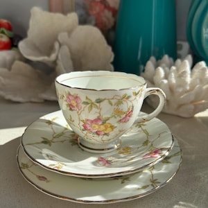 Sutherland China Teacup Trio | Wild Pink and Yellow Rose Design | Cup, Saucer & Cake Plate | Fine Bone China | Made in England |