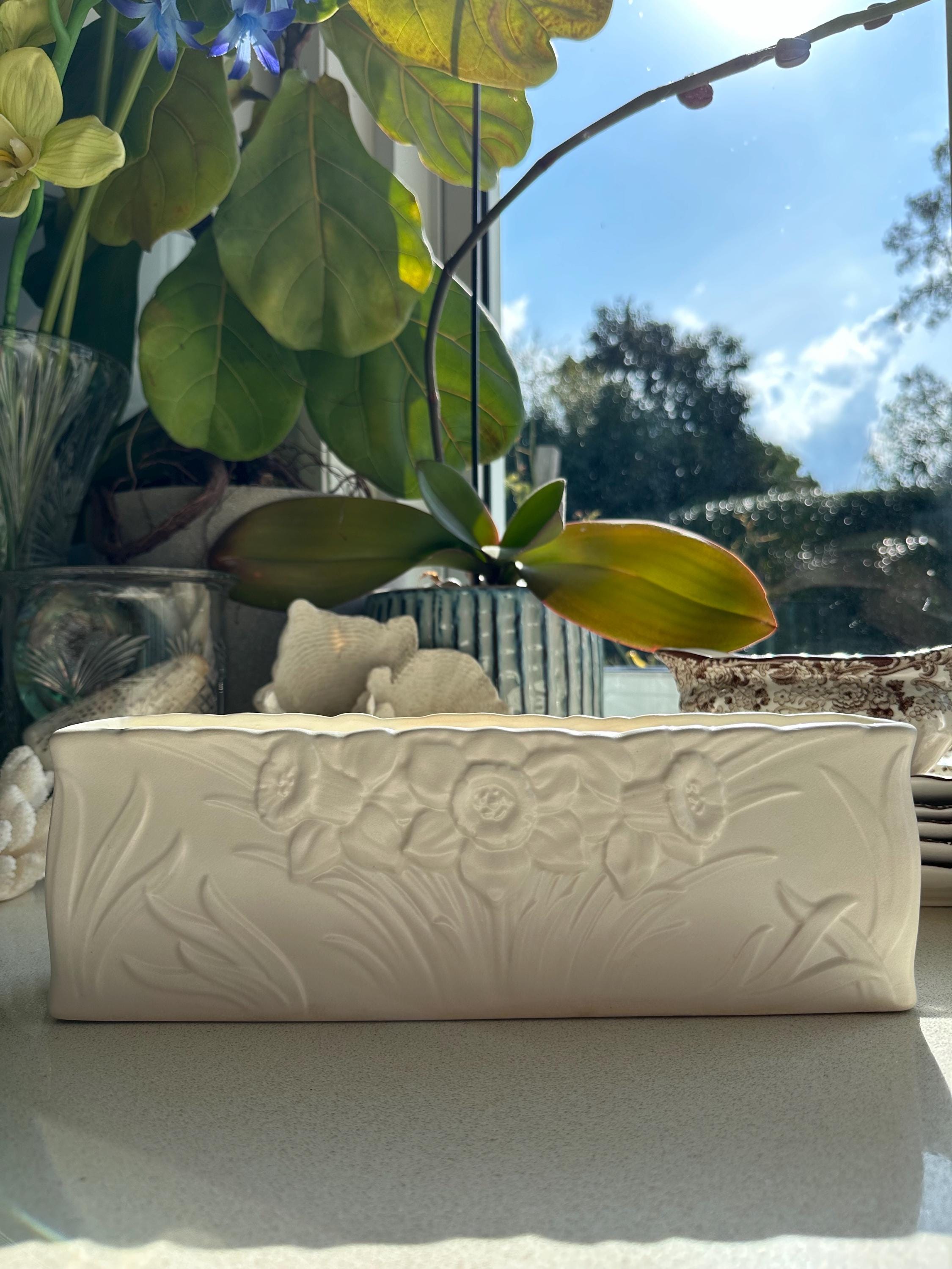SPODE Velamour Planter Satin Smooth White Ceramic Daffodil Jardiniere . Vintage White Glazed Ceramic Jardiniere / Trough Vase