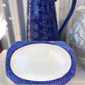 Puede incluir: Un plato ovalado blanco para servir con un patrón floral azul y blanco alrededor del borde.