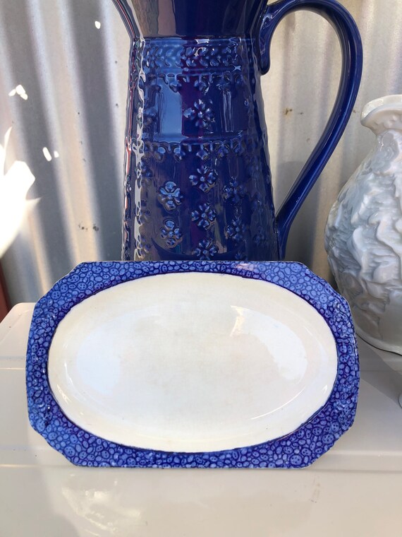 Antique Wedgewood Horticultural Plate 1800's (TRE) Antique Wedgewood Horticultural Plate 1800's (TRE)
