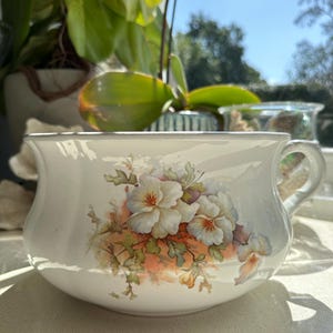 May include: White ceramic chamber pot with a floral design featuring white flowers with orange and green accents.