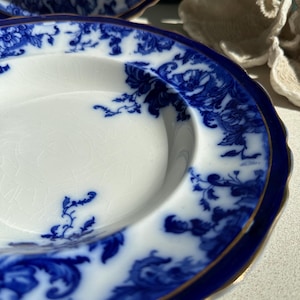 Puede incluir: Plato de porcelana blanco y azul con dise&ntilde;o floral. El plato tiene un borde azul oscuro con ribete dorado. El patr&oacute;n floral es en tonos azules. El plato es redondo con un borde ligeramente festoneado.