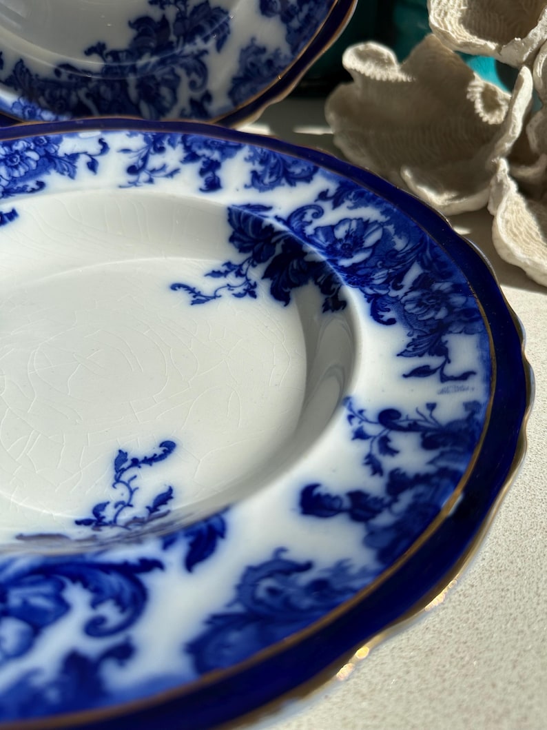 Puede incluir: Plato de porcelana blanco y azul con dise&ntilde;o floral. El plato tiene un borde azul oscuro con ribete dorado. El patr&oacute;n floral es en tonos azules. El plato es redondo con un borde ligeramente festoneado.