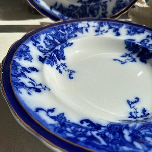 Puede incluir: Dos platos de porcelana blancos y azules con un dise&ntilde;o floral. Los platos tienen un borde azul y un ribete dorado. El patr&oacute;n floral est&aacute; en tonos de azul. Los platos son probablemente vintage o antiguos.