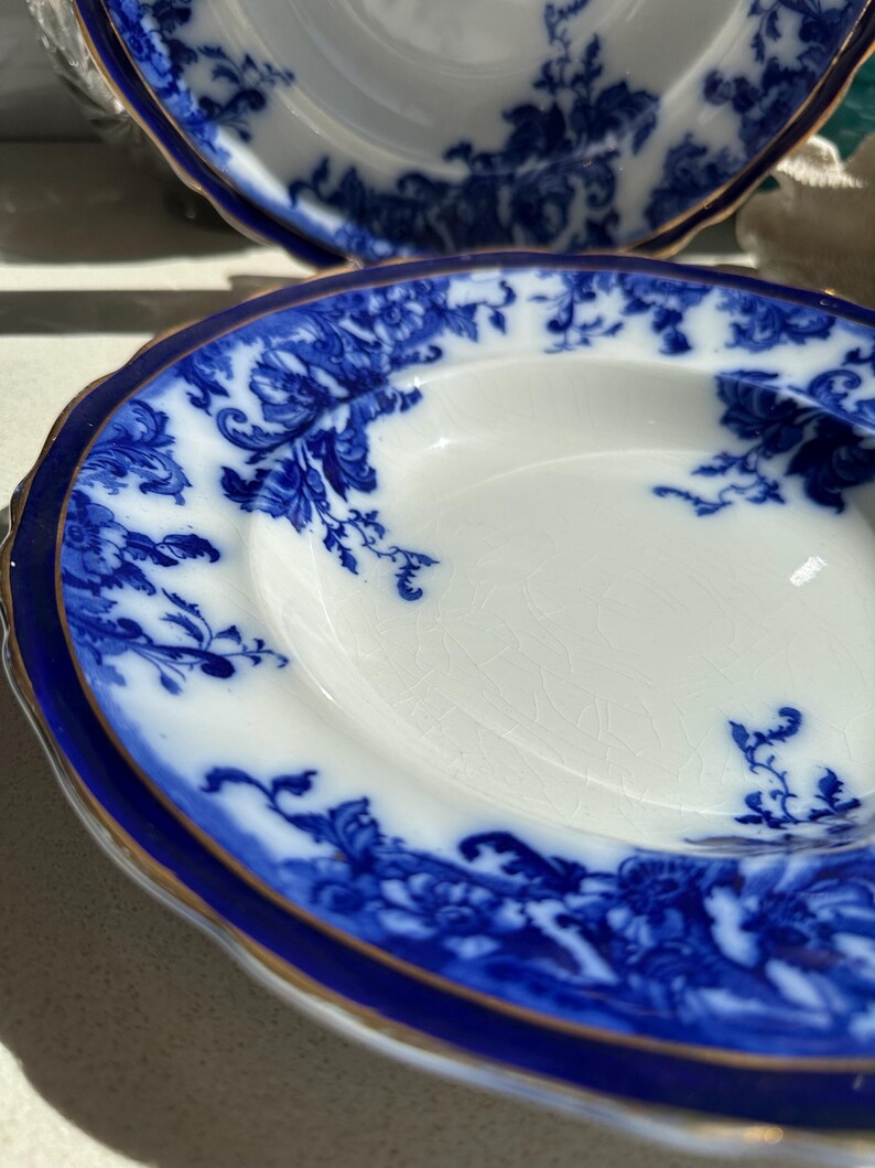 Puede incluir: Dos platos de porcelana blancos y azules con un dise&ntilde;o floral. Los platos tienen un borde azul y un ribete dorado. El patr&oacute;n floral est&aacute; en tonos de azul. Los platos son probablemente vintage o antiguos.
