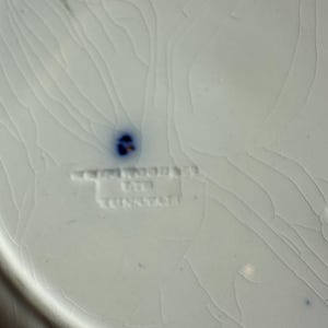 Puede incluir: Primer plano de un plato de cer&aacute;mica blanca con un esmalte agrietado. El plato tiene un acento azul y el texto "WOOD & SONS LTD TUNSTALL" es visible. El plato tiene una est&eacute;tica vintage.