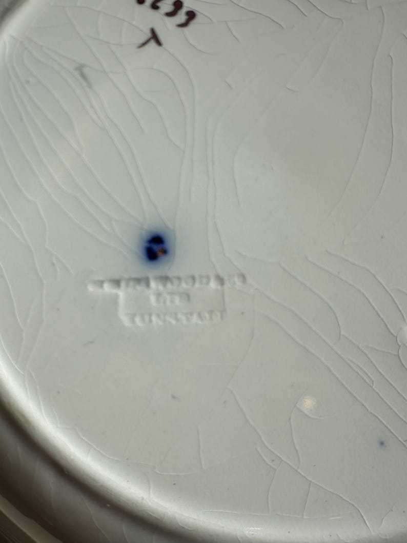 Puede incluir: Primer plano de un plato de cer&aacute;mica blanca con un esmalte agrietado. El plato tiene un acento azul y el texto "WOOD & SONS LTD TUNSTALL" es visible. El plato tiene una est&eacute;tica vintage.