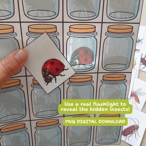 May include: A printable activity sheet featuring a grid of glass jars with orange lids. A separate card shows a red ladybug with black spots. Text on the sheet reads: Use a real flashlight to reveal the hidden insects! PNG DIGITAL DOWNLOAD.