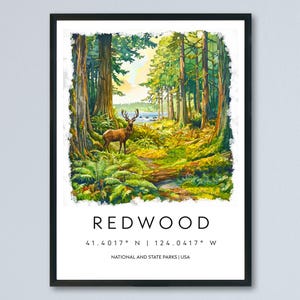 Redwood Watercolor Poster Redwood Travel Print California Wall Art Redwood Forest Decor Coastal Landscape Redwood Tree Scene Print