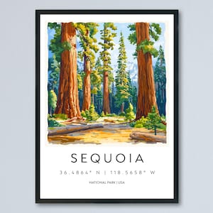 Sequoia Watercolor Poster Sequoia California Travel Print Wall Art Sequoia Home Decor Sequoia Gift Art Lovers Sequoia National Park