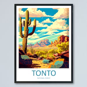 Tonto National Park Travel Print Wall Art Tonto National Park Wall Hanging Home Décor Tonto National Park Gift Art Lovers Arizona Art Lover