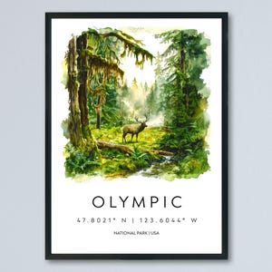 Olympic Watercolor Poster Olympic Travel Print Washington Wall Art Olympic National Park Decor Forest Coast Mountain Scene Landscape Print