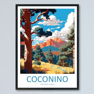 Coconino National Forest Travel Print Wall Art Coconino National Forest Wall Hanging Home Décor Coconino National Forest Gift Art Arizona