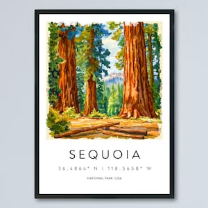Sequoia Watercolor Poster Sequoia California Travel Print Wall Art Sequoia Home Decor Sequoia Gift Art Lovers Sequoia National Park