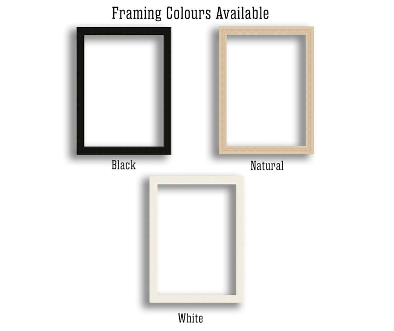 Pode incluir: Tr&ecirc;s molduras em preto, natural e branco, exibidas sobre um fundo branco. O texto "Framing Colours Available" est&aacute; no topo, com os nomes das cores abaixo de cada moldura.