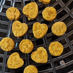 Peanut Butter and Pumpkin Dog Treats