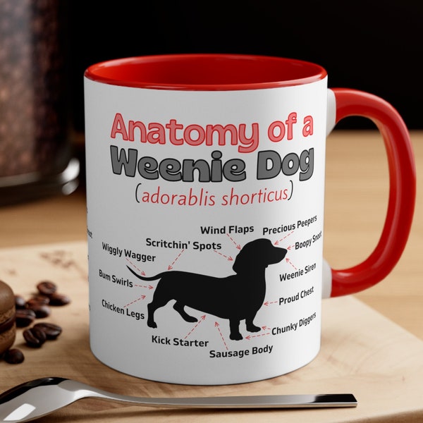 Dachshund Humor Accent Coffee Mug 11oz, Two-Tone Ceramic Mug, Anatomy of a Weenie Dog, Funny, Sausage Dog Cup, Gift for Wiener Dog Mama