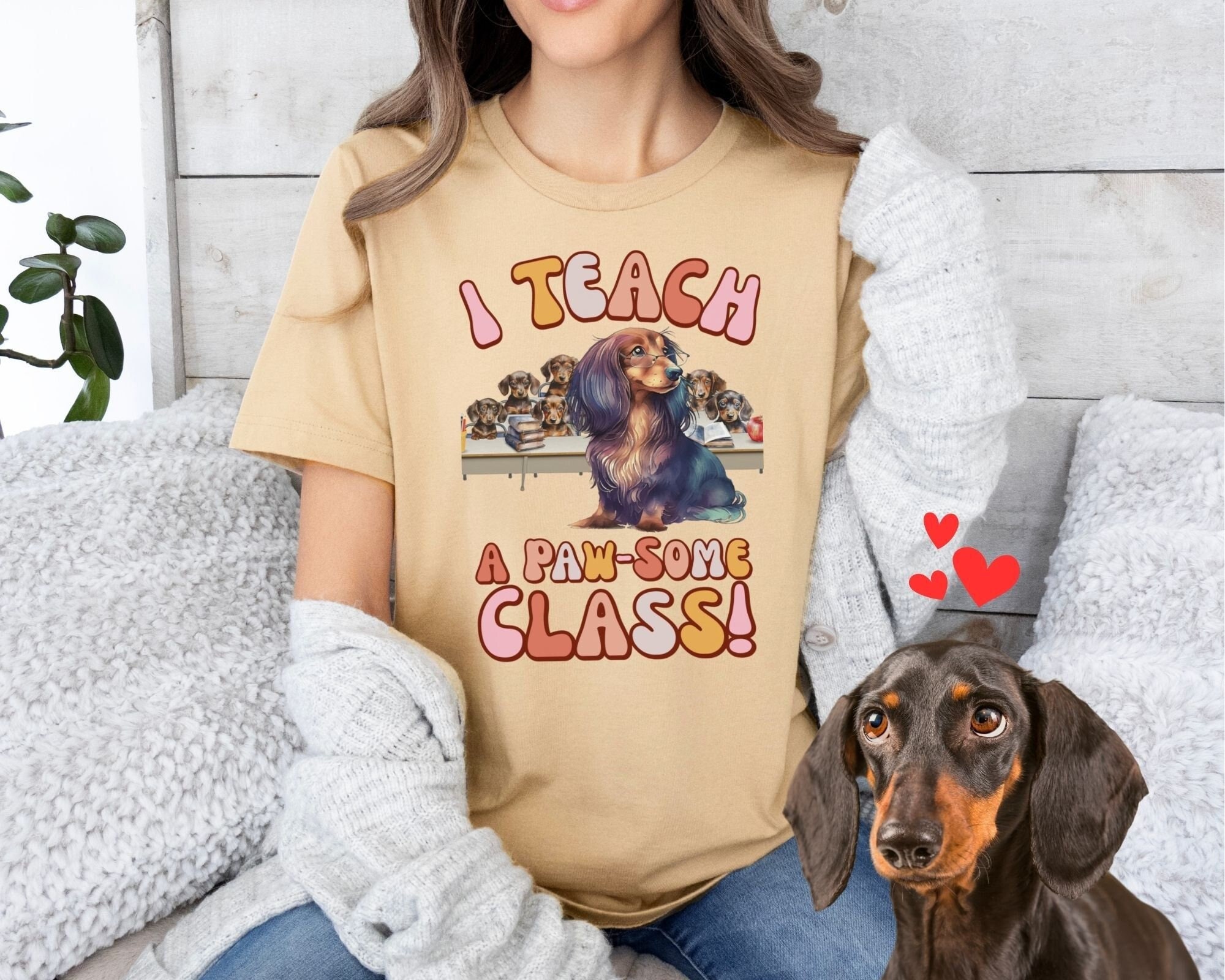 Funny Teacher Shirts, Dachshund Educator and Class of Cute Weenie Pups T-shirt, Fun Back to School Gift for Preschool Teacher