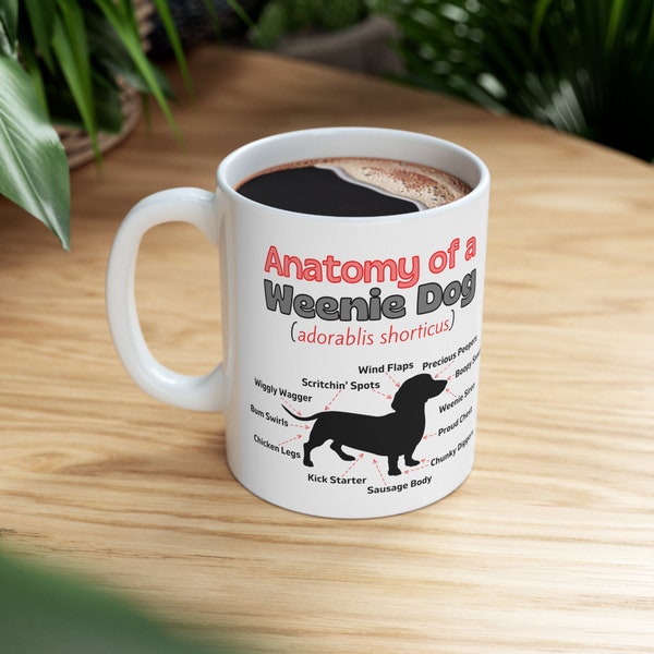 Funny Dachshund Coffee Cup 11oz | White Ceramic Mug | Anatomy of a Weenie Dog | Wiener Dog Cup | Sausage Dog Humor