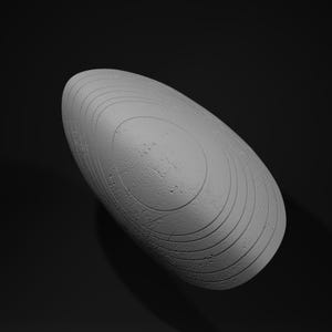 May include: A gray, oval-shaped object with a textured surface and concentric circular grooves. The object has a smooth, rounded top and a slightly rough, weathered appearance. The background is a solid black.