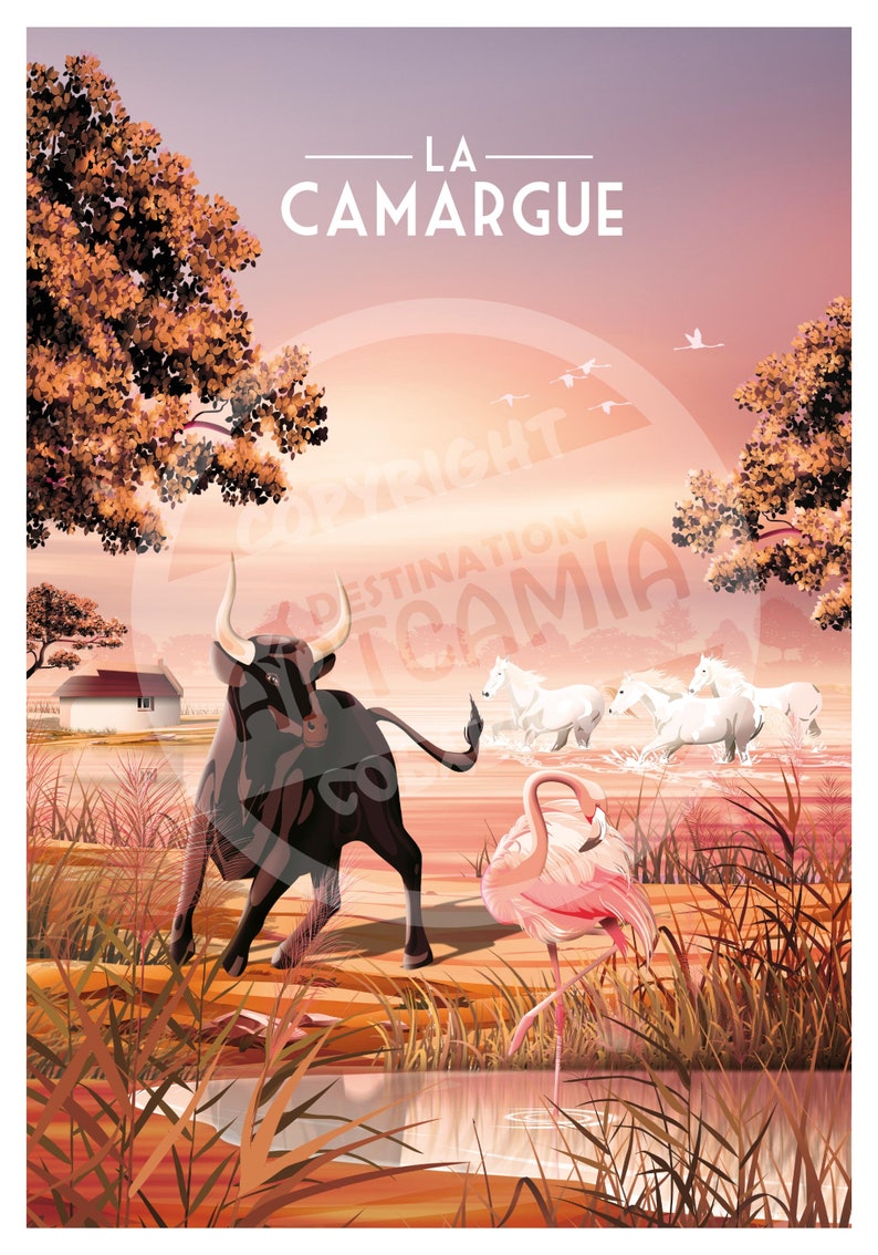Camargue