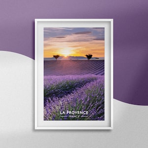 Poster Provence Frankreich – Poster „Lavendelfelder“ – Reisesouvenir