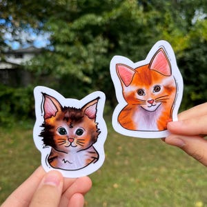 Custom Pet Vinyl Sticker, Vinyl Waterproof stickers of your cat, dog, bird, and more pets, die cut sticker, laptop water bottle kindle phone