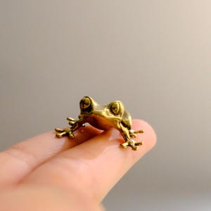 May include: A small, detailed brass frog figurine. The frog is perched on a finger, showcasing its intricate design. The figurine has a golden hue and is a decorative item.