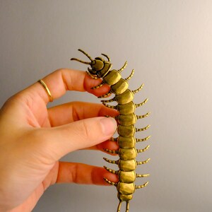 May include: A detailed, brass-colored centipede sculpture. The segmented body features numerous legs and antennae, with a textured surface. The insect is held against a neutral gray background, highlighting the intricate design of the arthropod.