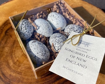 Hand Decorated Chocolate Bird Eggs - House Sparrow