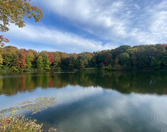 ColorFall