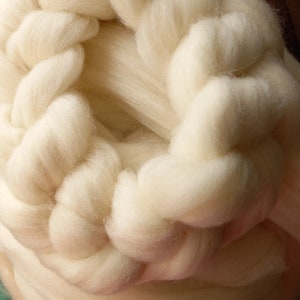 South German Merino in the comb image 2