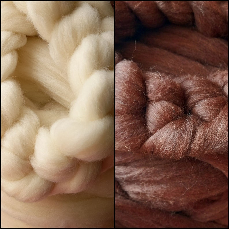 South German Merino in the comb image 1